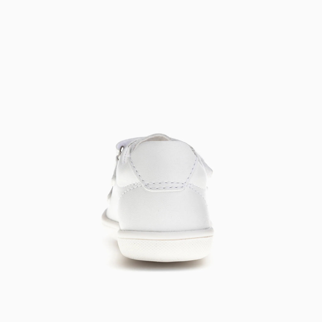ARCA 048405