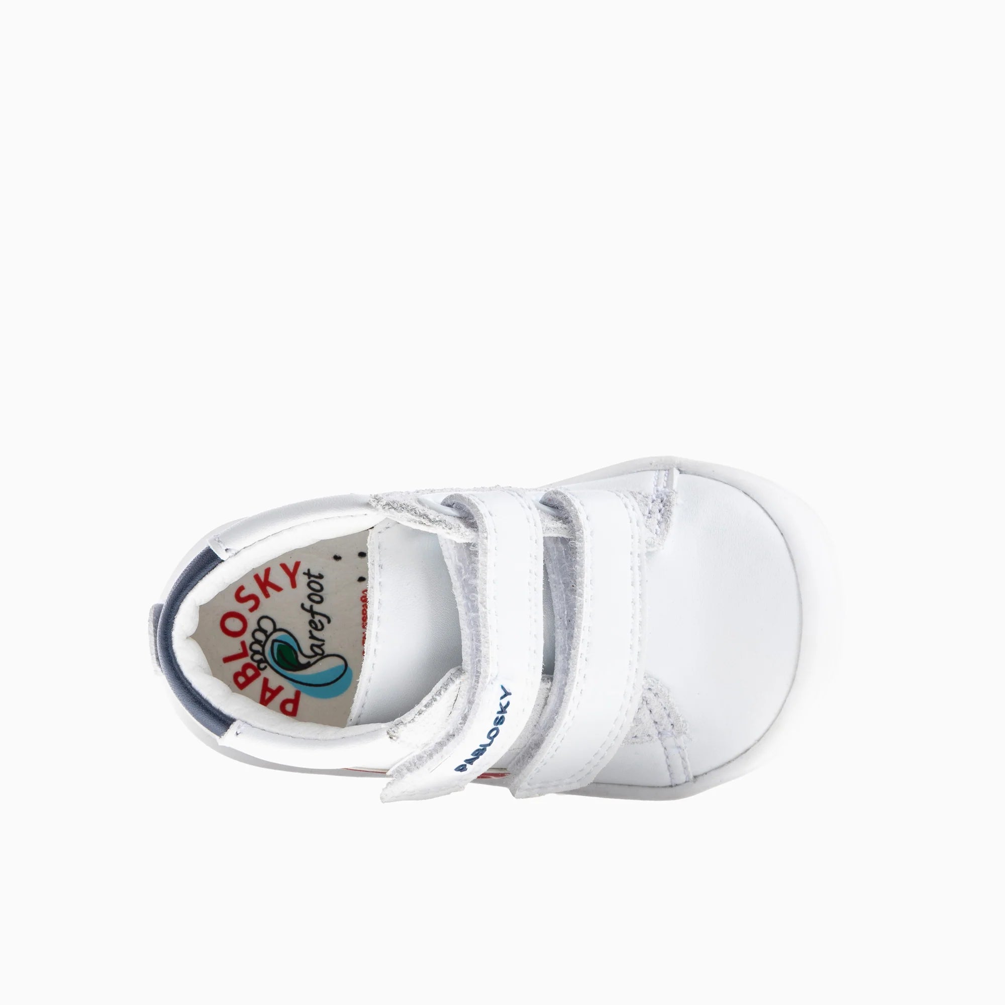 ARCA 044302