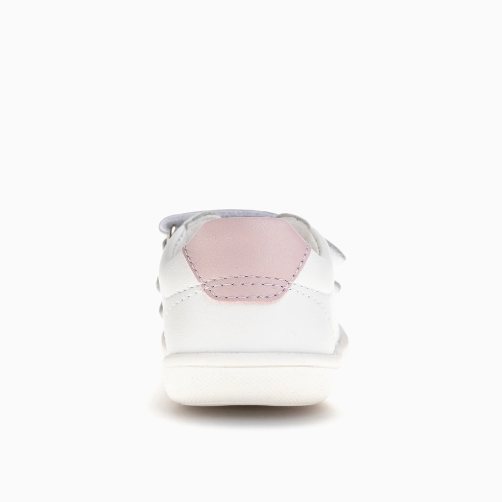 ARCA 048506