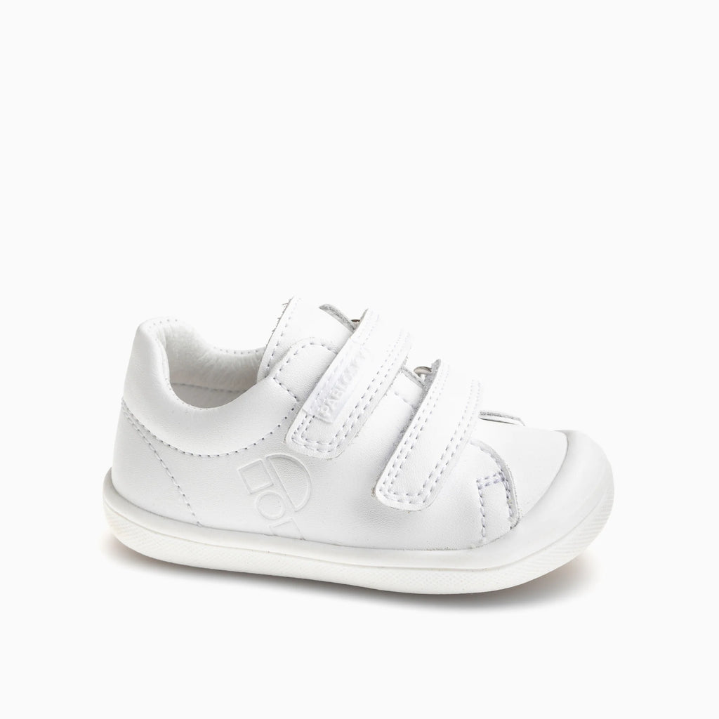 ARCA 048405