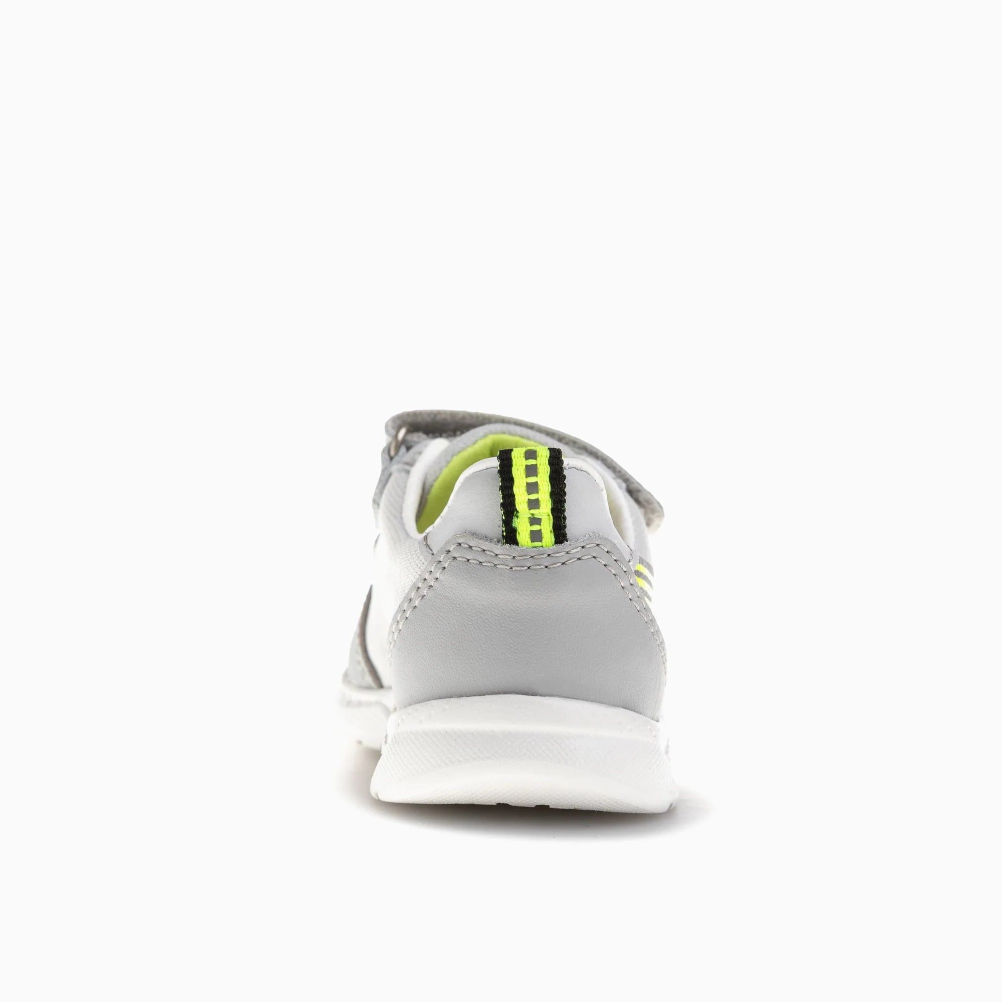 XANDAR 296454