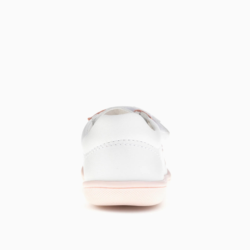 ARCA 048605